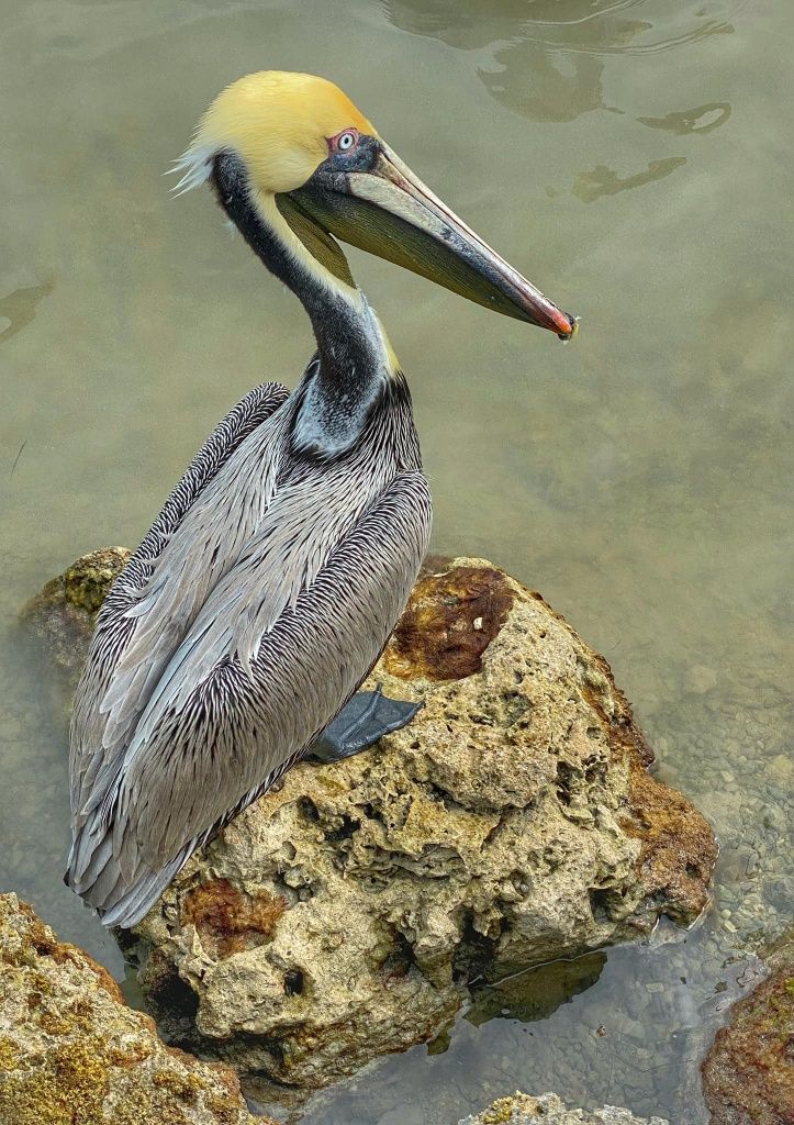 Fishing in an unknown location