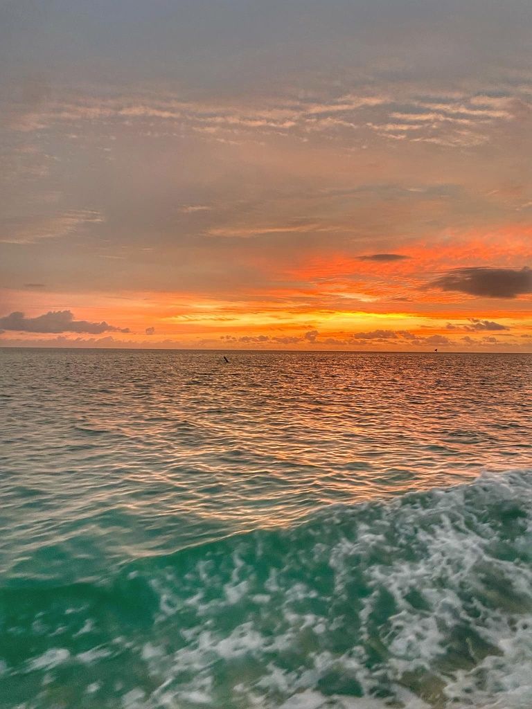 Great fishing trip at unknown location