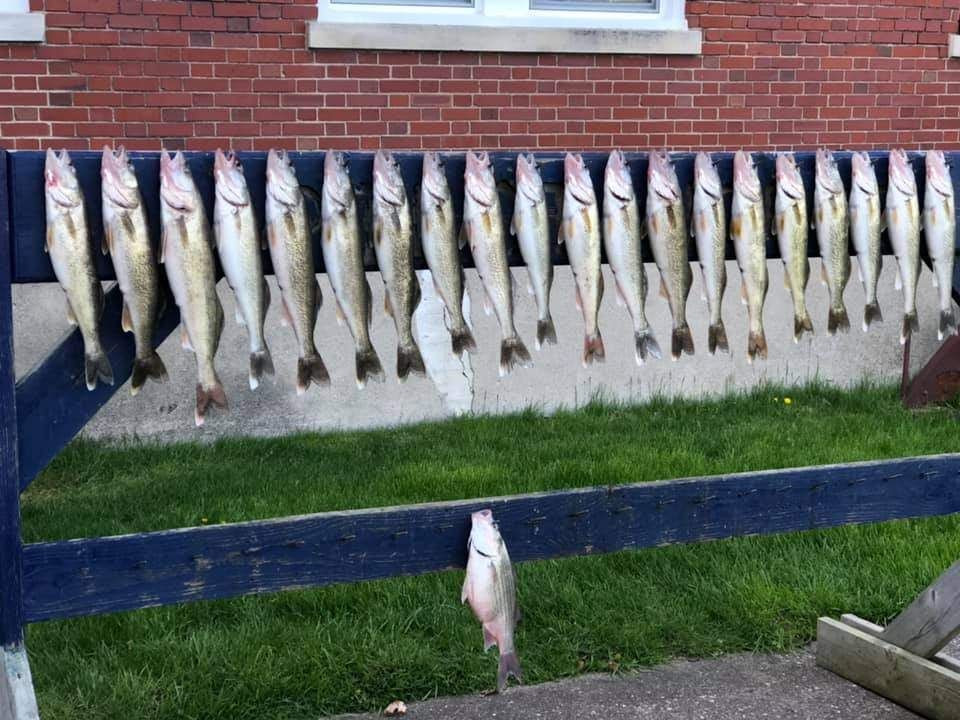 Successful fishing trip with 14 fish caught at an unknown location