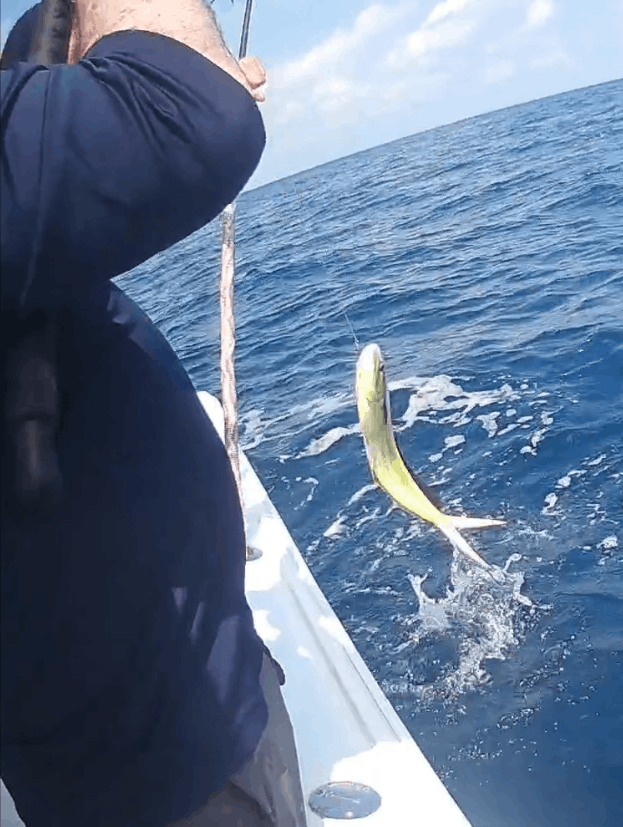 Fishing in an unknown location