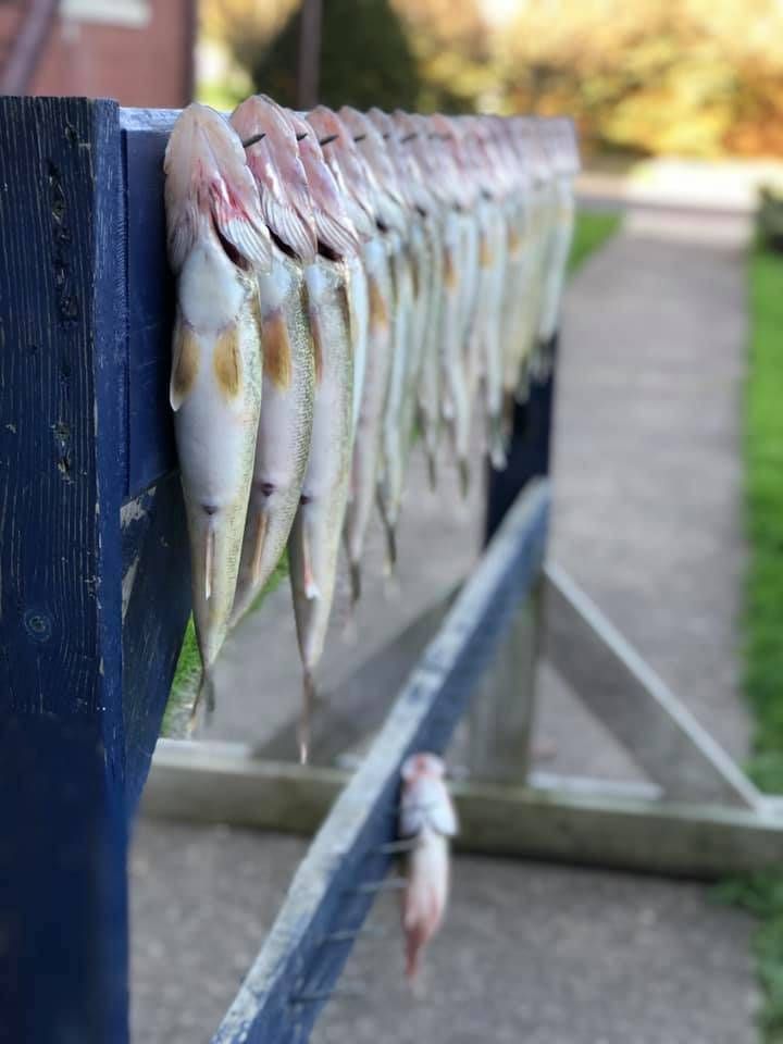 Two anglers enjoying a successful fishing trip at an unknown location