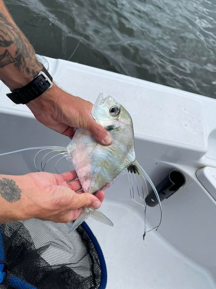 Fishing at mysterious location