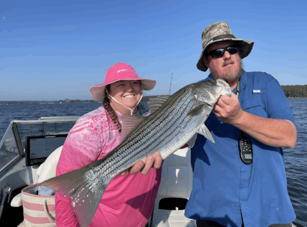 Striped bass caught by two anglers