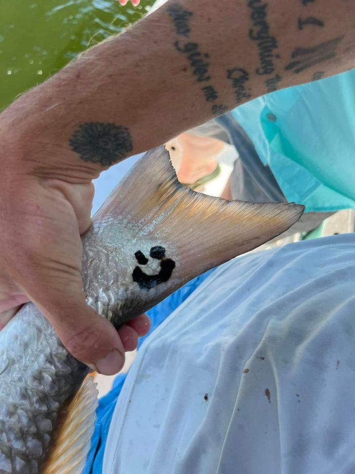 A fishing trip at an unknown location