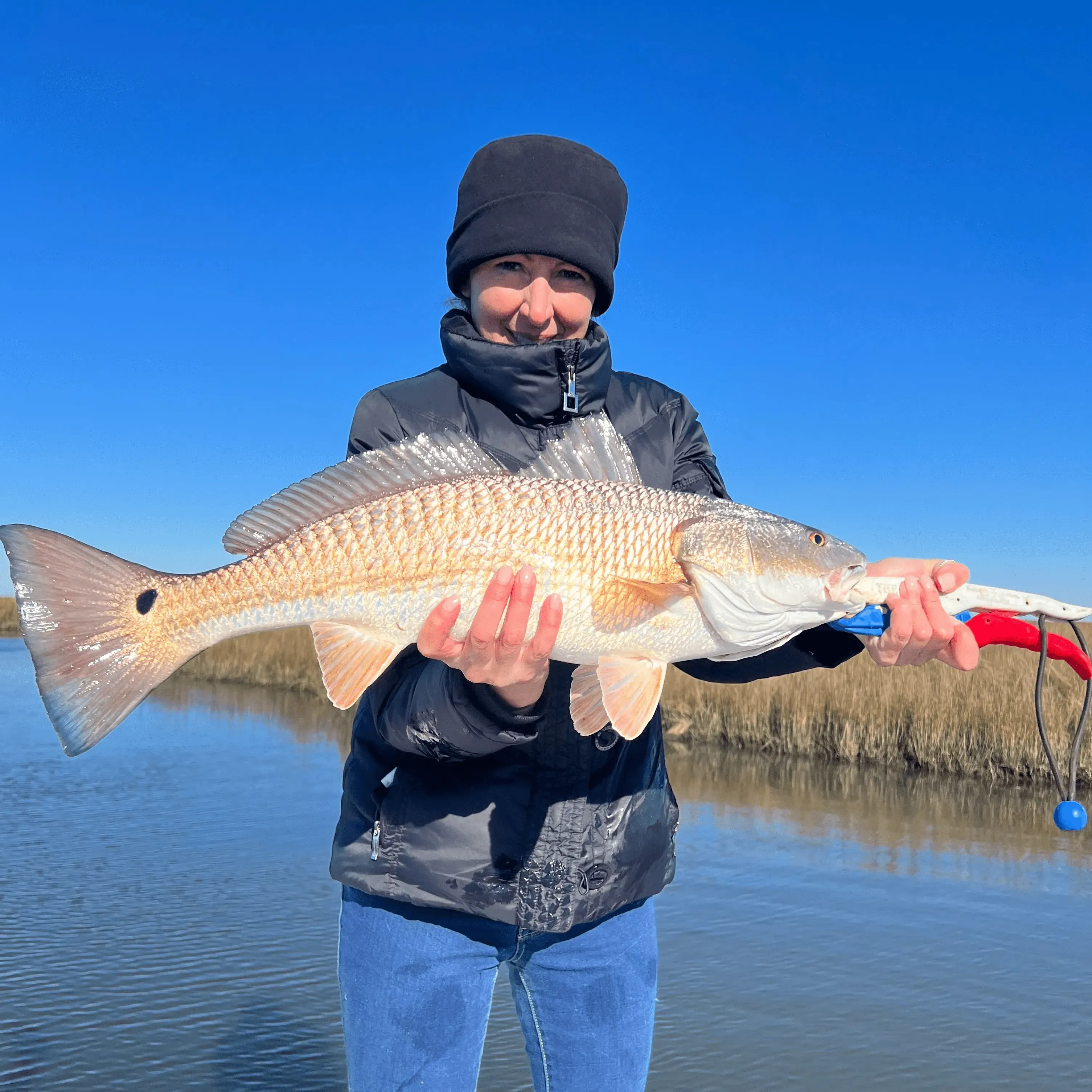 Redfish caught while fishing