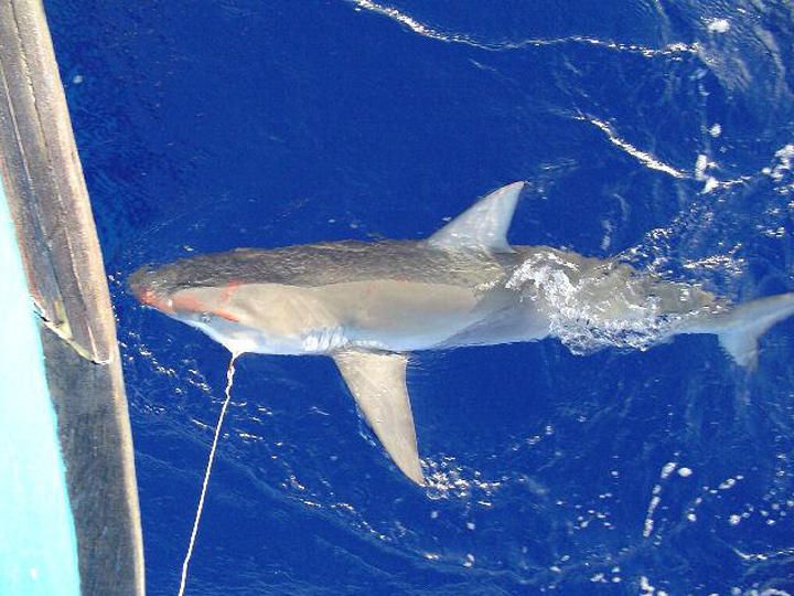 Fishing at an unknown location