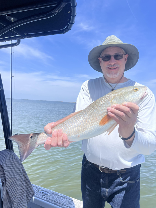 Caught a beauty on the coast today.