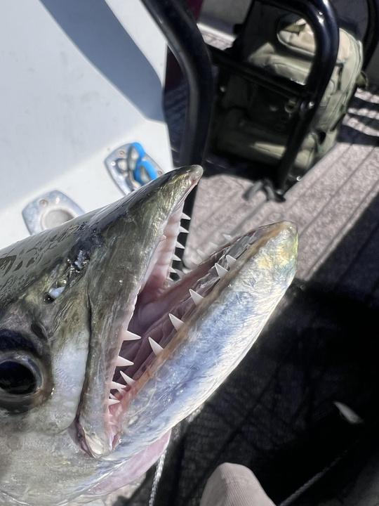 Snagged a big one, didn't we?