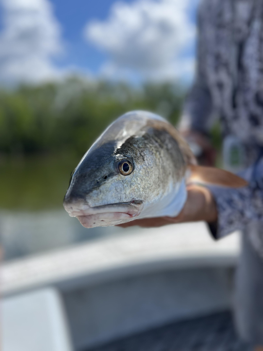 Casting lines and hopes under partly cloudy skies at Williams Park!