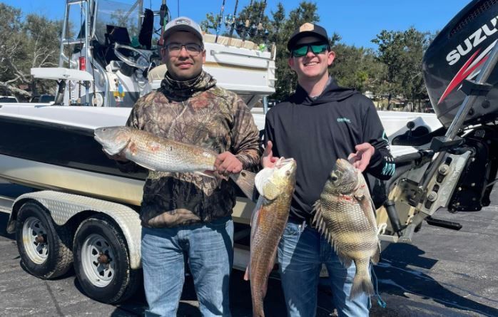 Three sheepshead fish caught by two people fishing