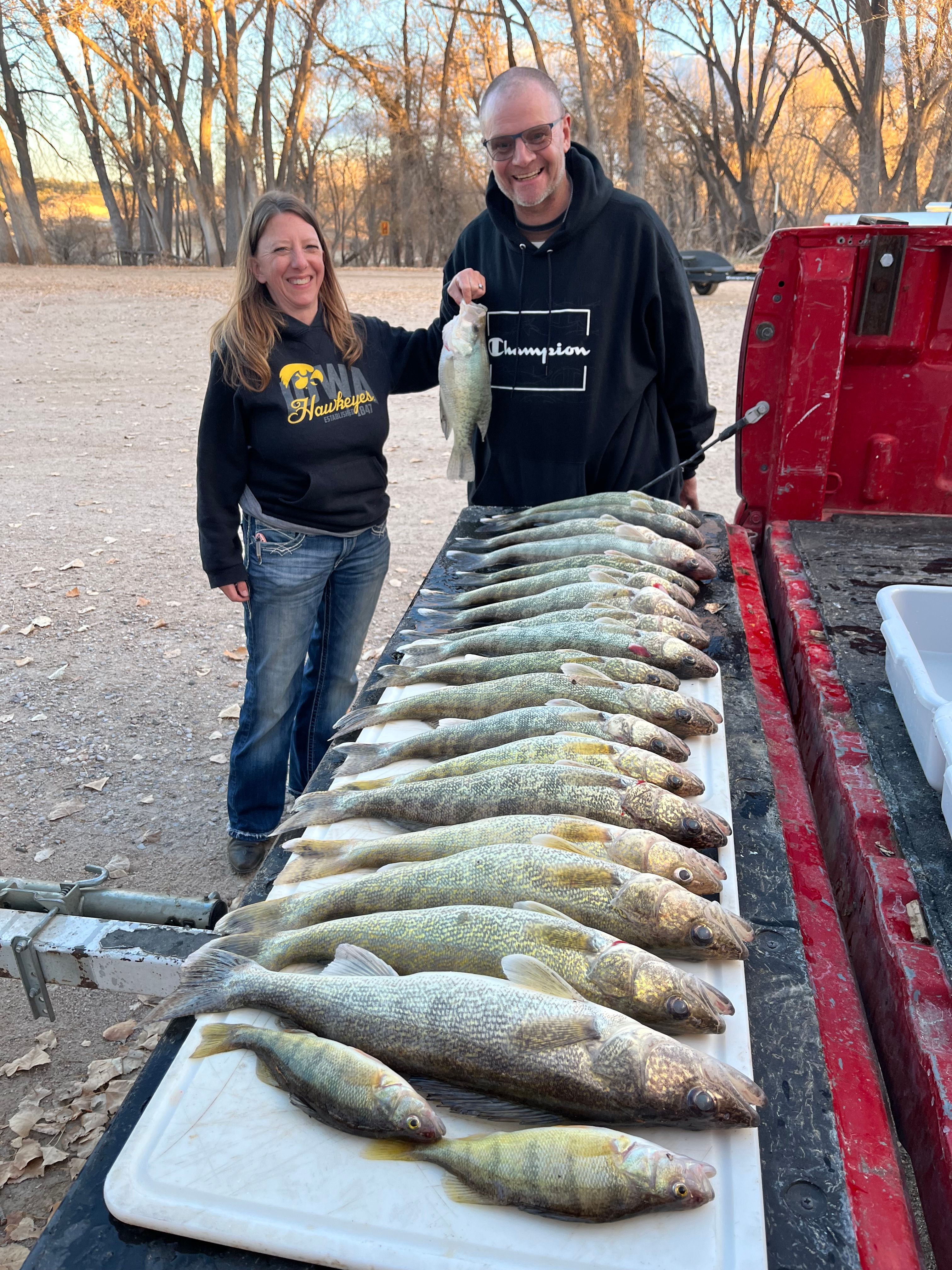 3 huge walleye fish caught while fishing
