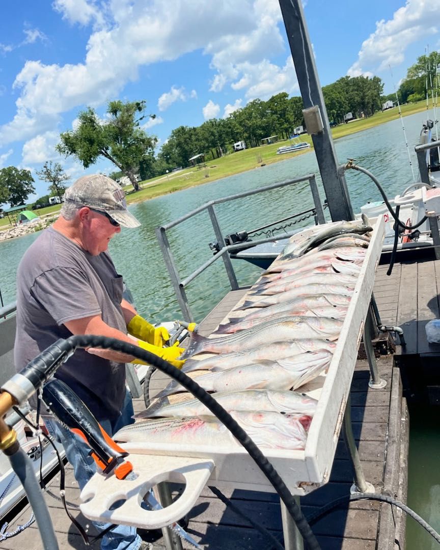 Fresh caught fish laid out on boat cleaning station at dock