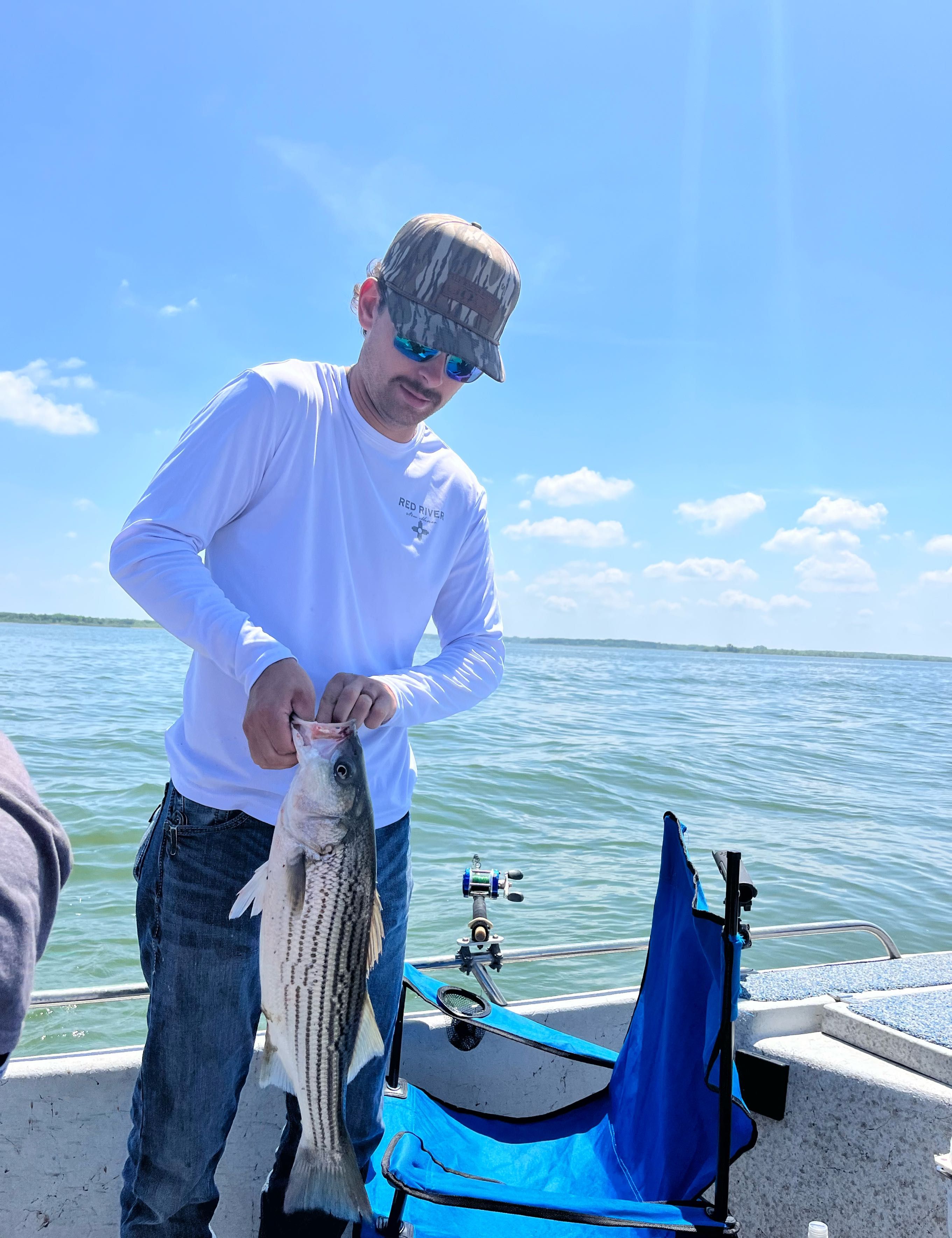 Freshly caught striped bass being held on fishing boat