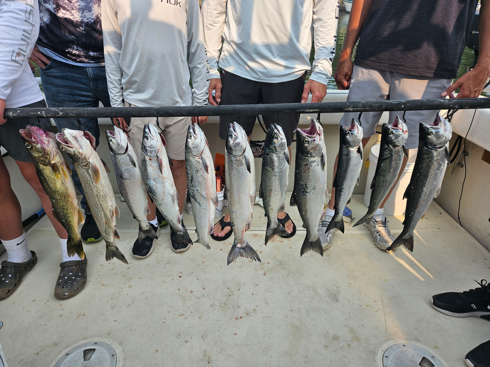 Blasted today with Coho Salmon and Rainbow Trout at Knife River Marina!