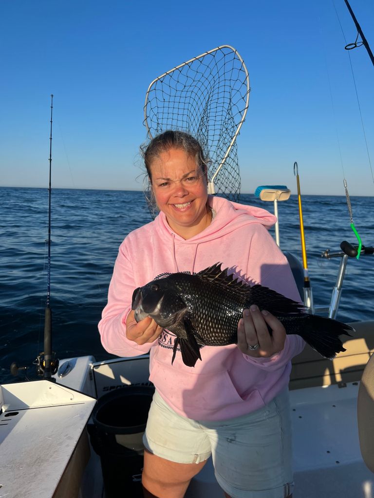 One sea bass caught fishing
