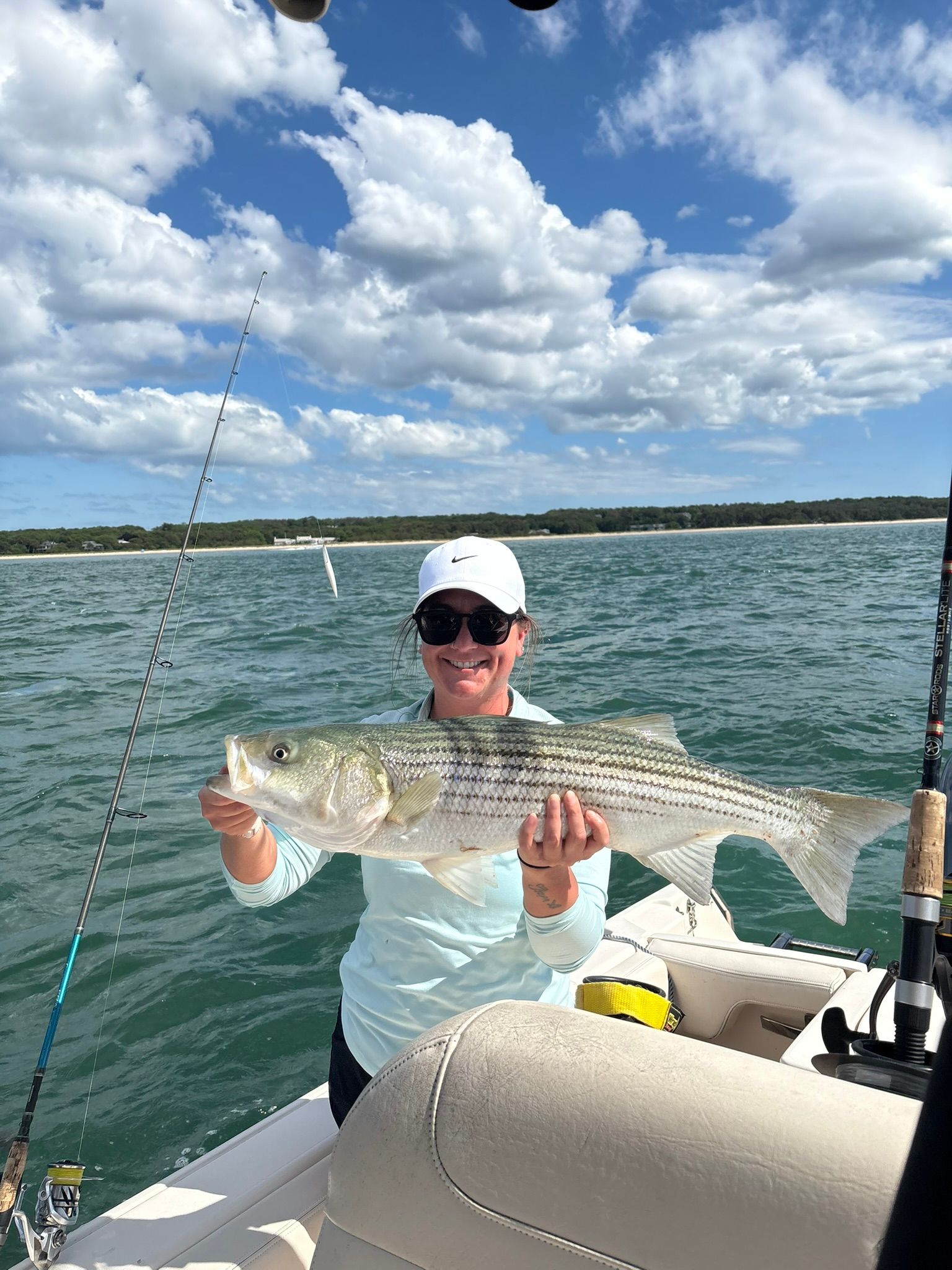 Freshly caught striped bass being held on a fishing boat