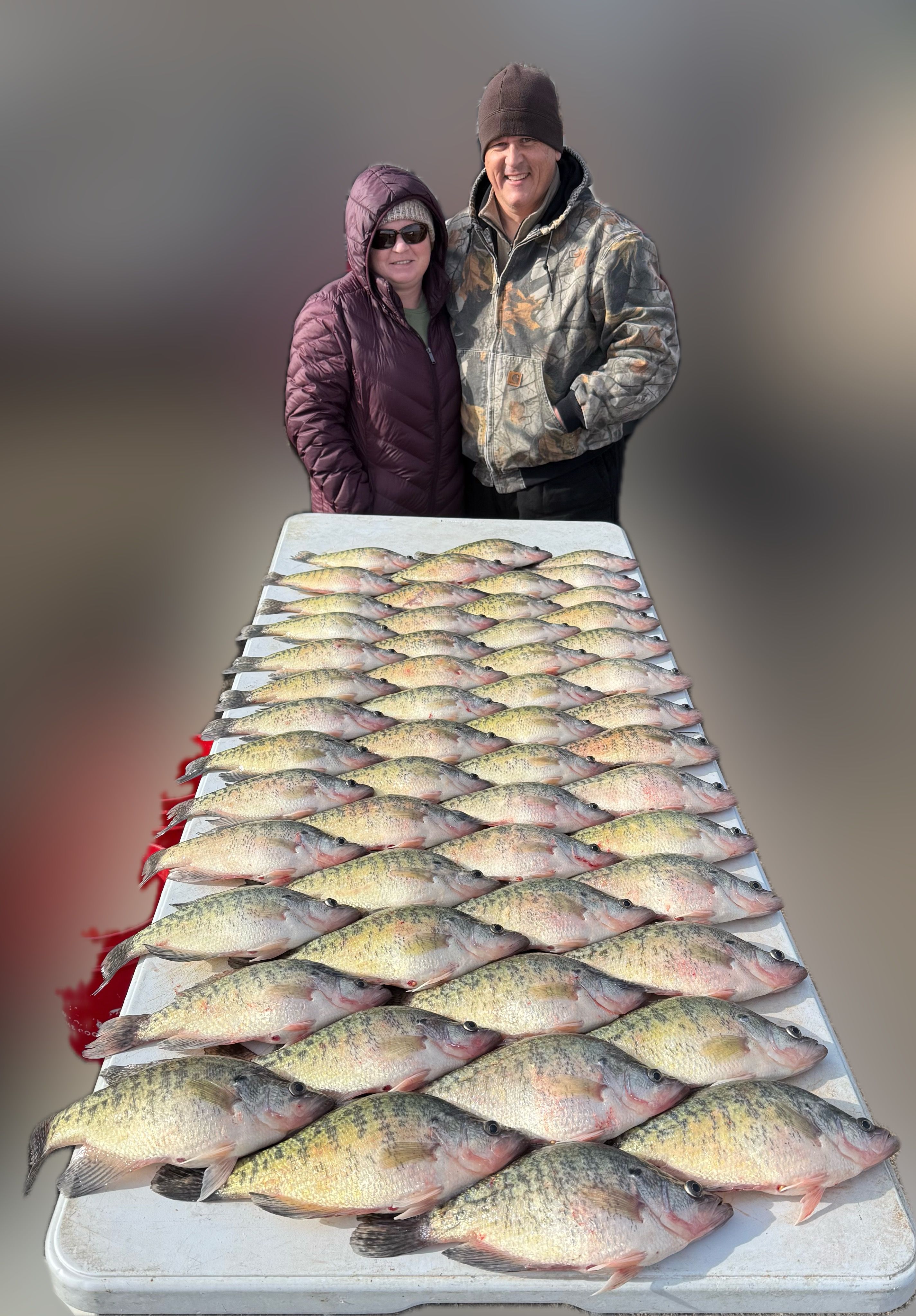 7 Atlantic Croaker fish caught while fishing