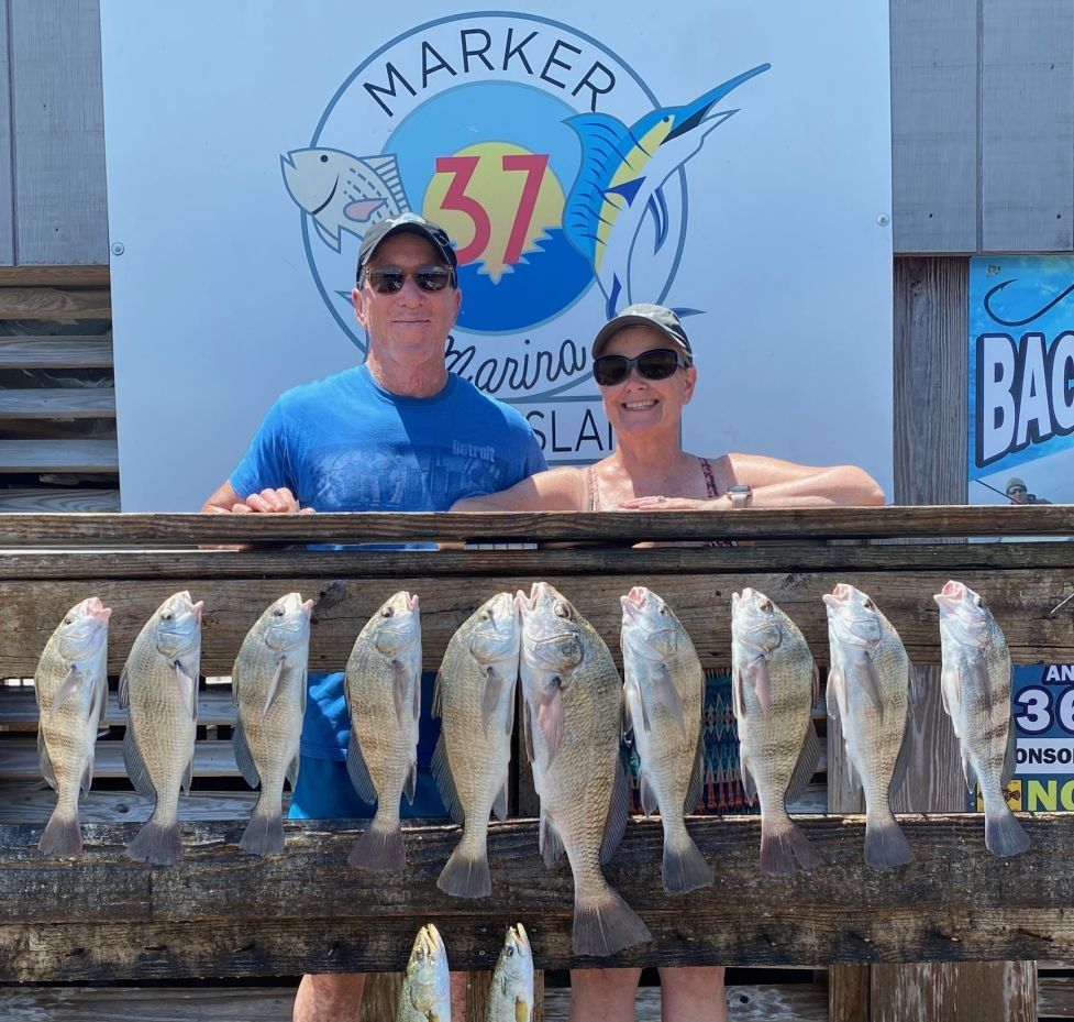 10 black drum fishing
