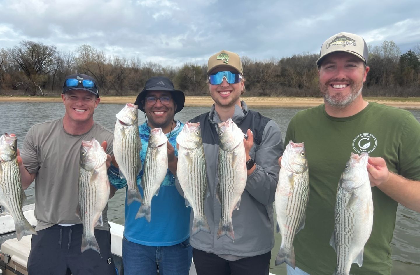 A group of 8 striped bass caught while fishing
