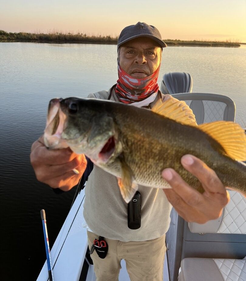 Angler holding freshly caught bass fish on boat during golden hour fishing trip