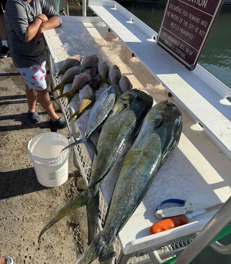 Fishing adventure at unknown location