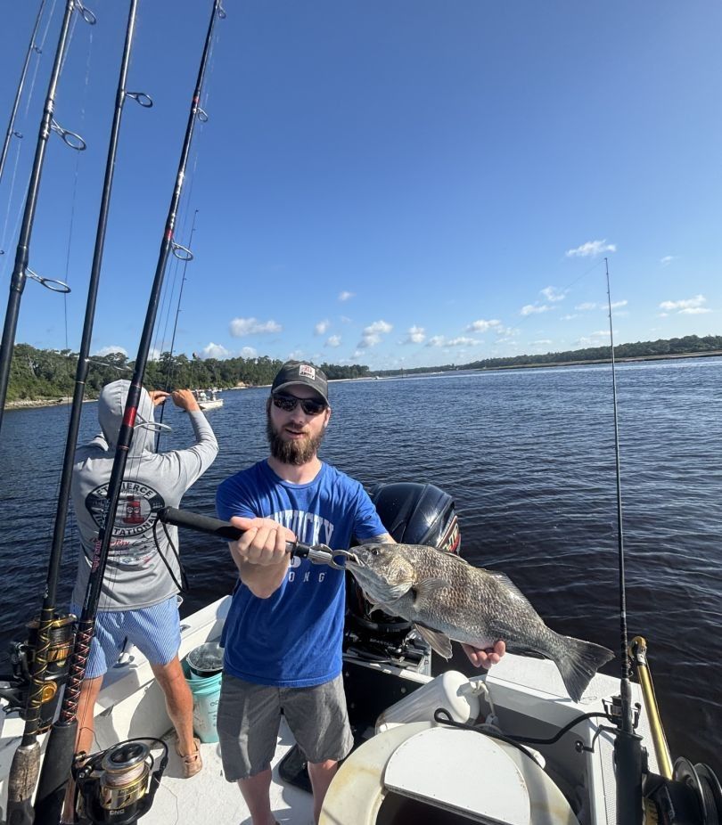 Black Drum fish caught while fishing