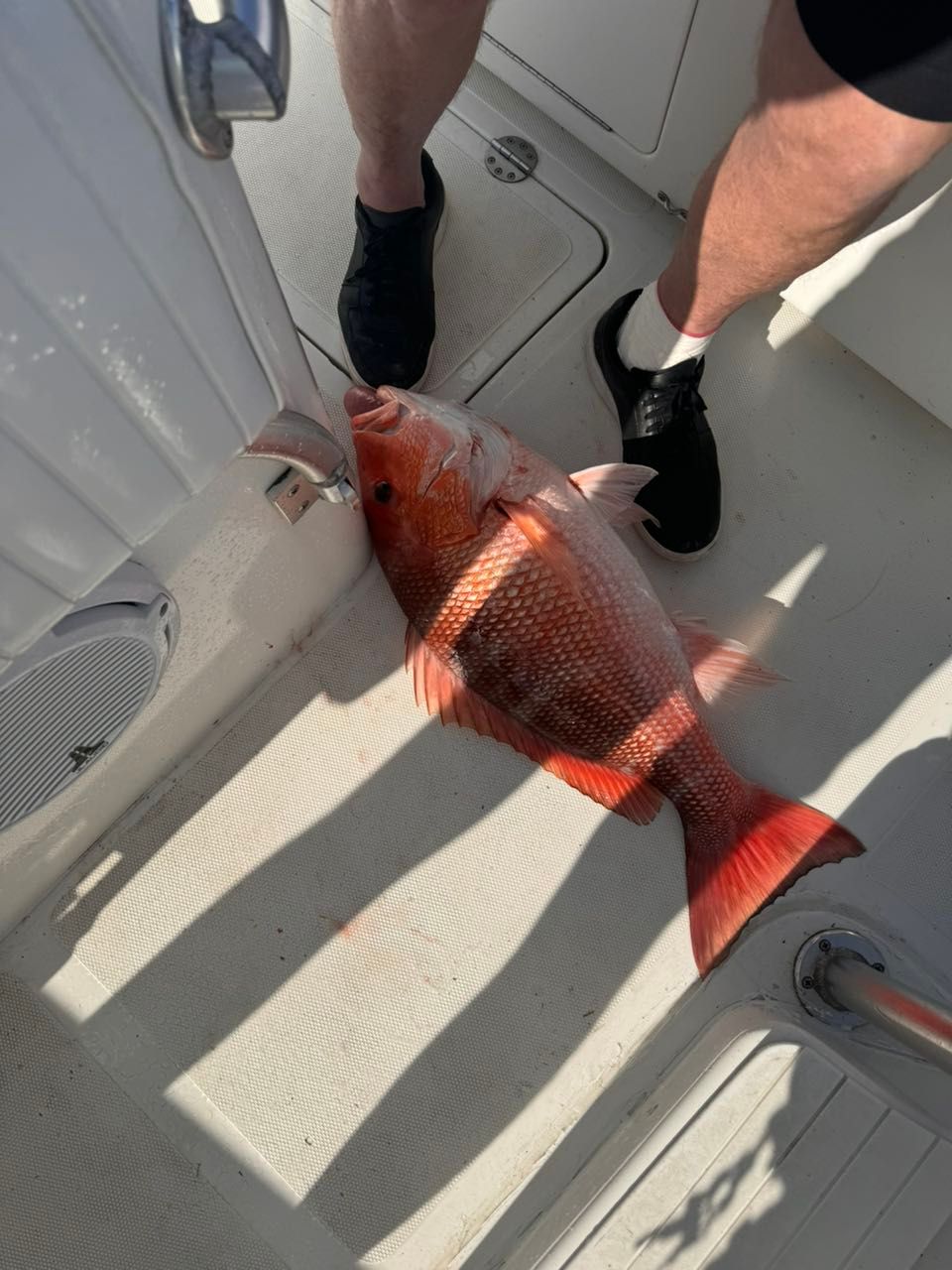 Great fishing catch at unknown location