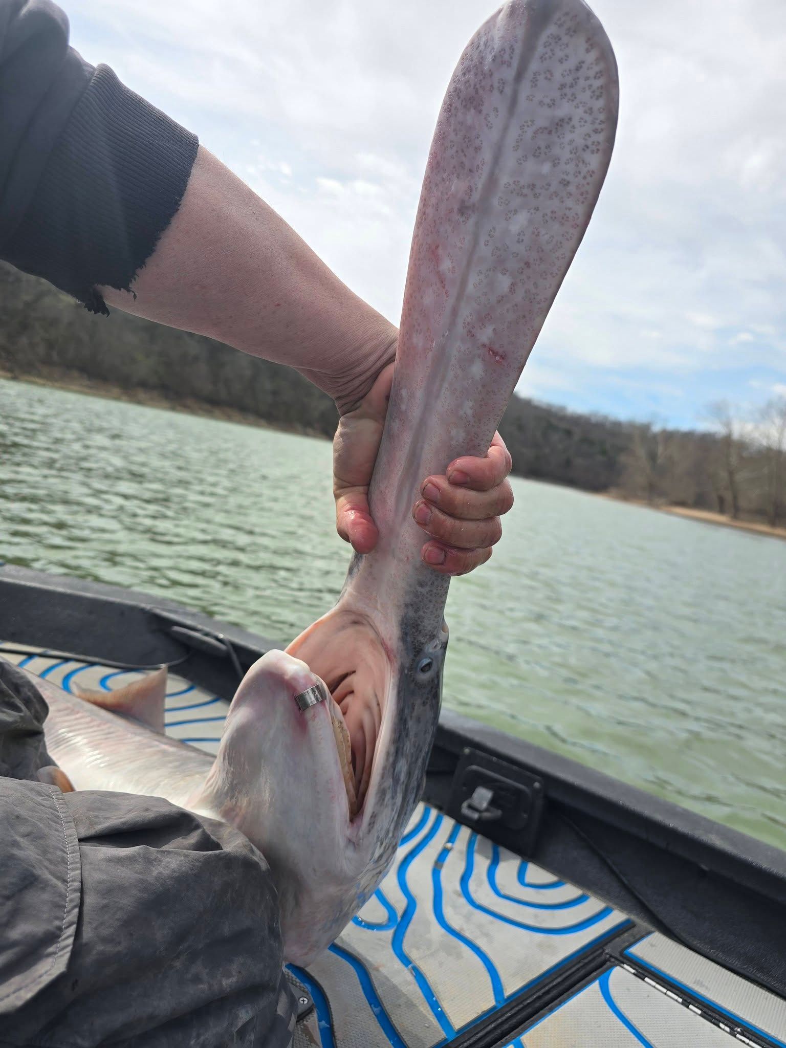 Large fish being held on boat displaying impressive catch during fishing trip