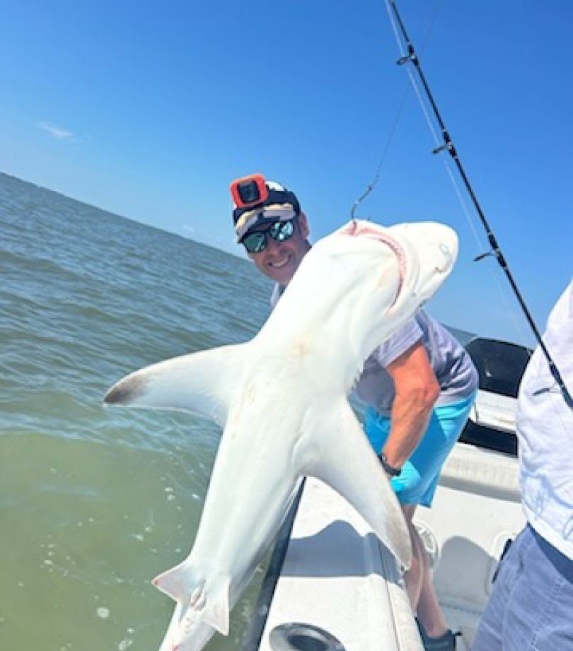 Blacktip shark caught while fishing