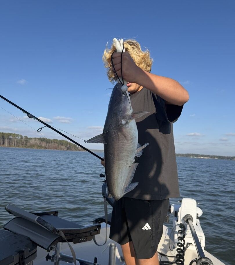 Blue catfish caught while fishing