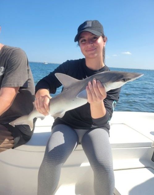 Bonnethead shark caught while fishing