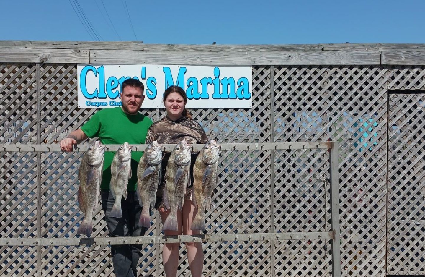 Five black drum fish caught while fishing