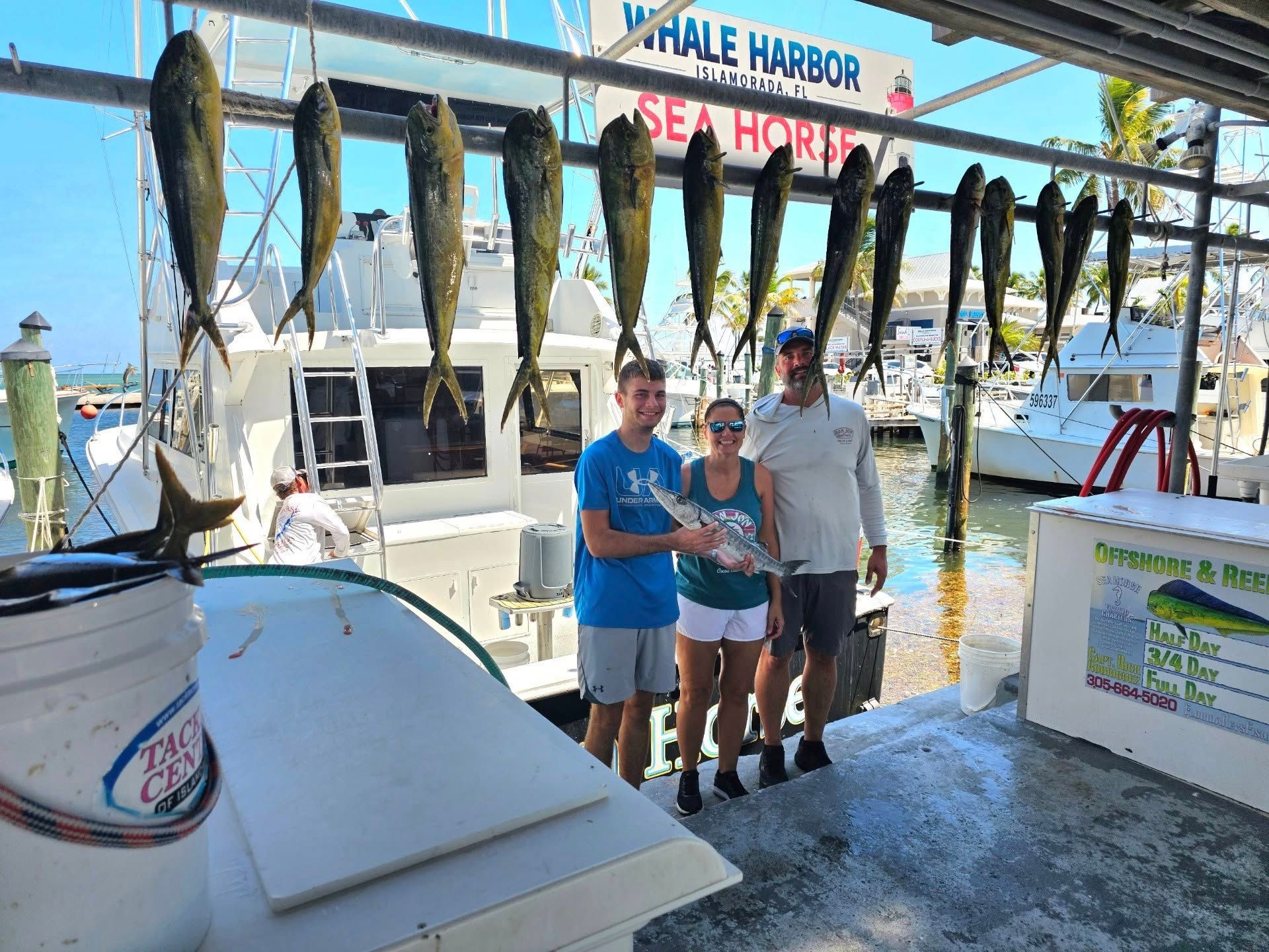 9 bluefish caught while fishing