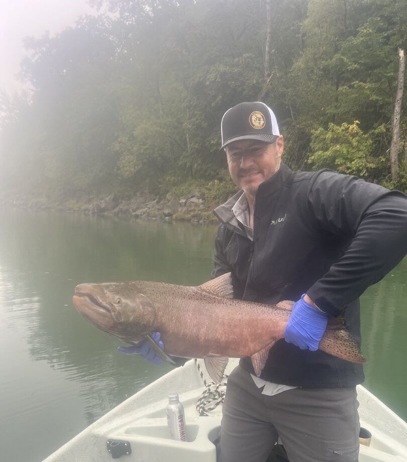 Chinook salmon caught while fishing