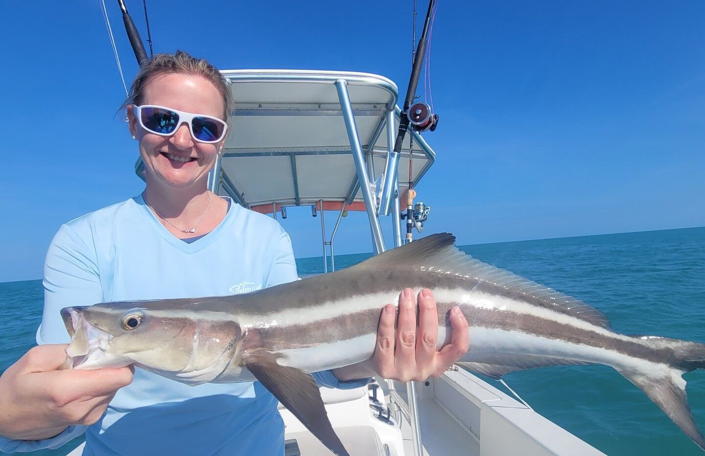 Cobia caught during offshore fishing trip on boat