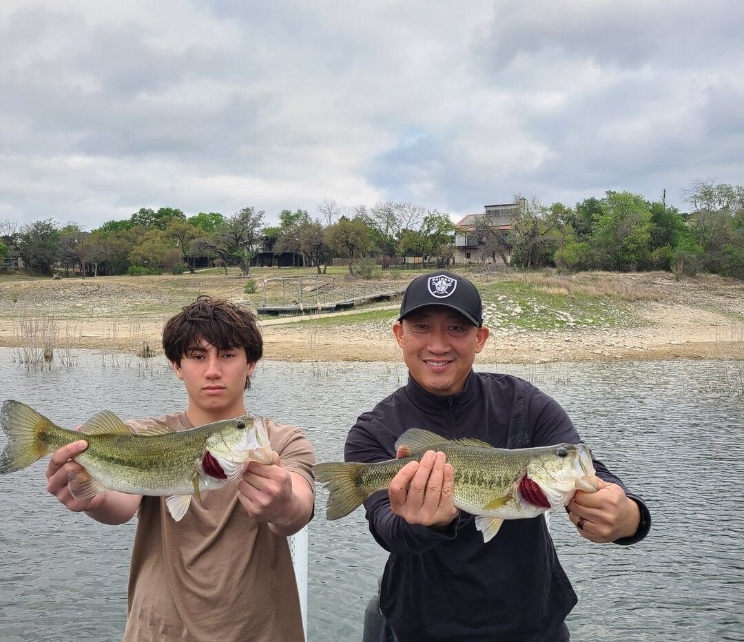 Two freshly caught bass being displayed after a successful fishing trip