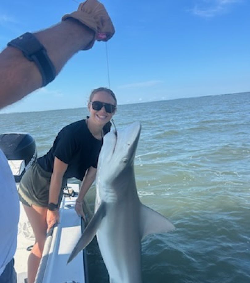 Dusky smooth-hound fish caught while fishing