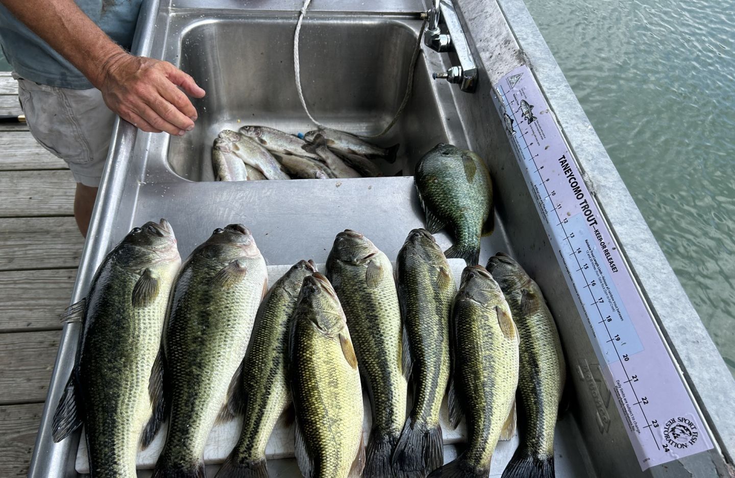 5 fish caught while fishing in an unknown location