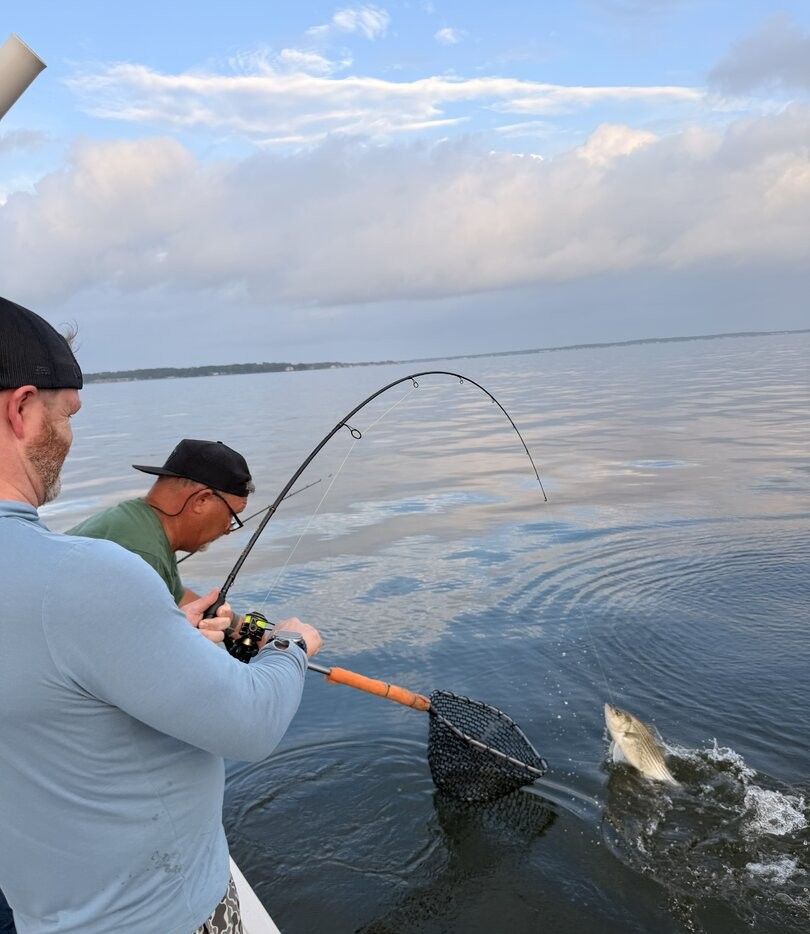 Fishing rod bent with fish being netted during fishing trip