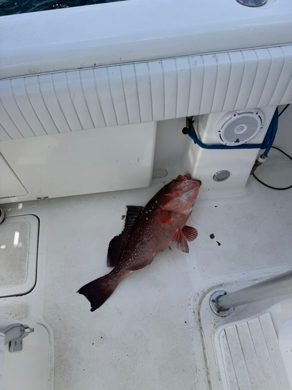 Fishing in an unknown location