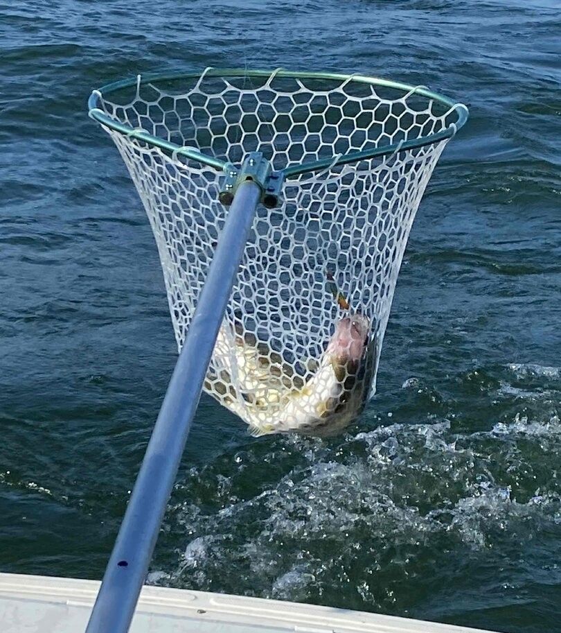Fishing scene at an unknown location