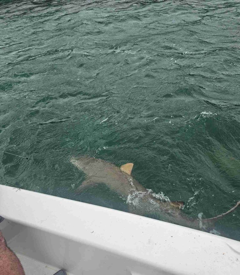 Fishing at an unknown location