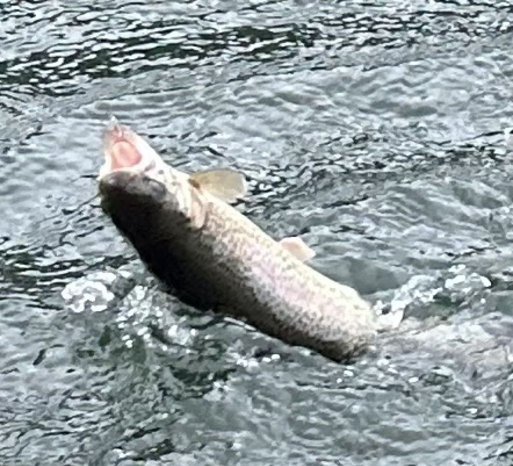 Fishing at unknown location