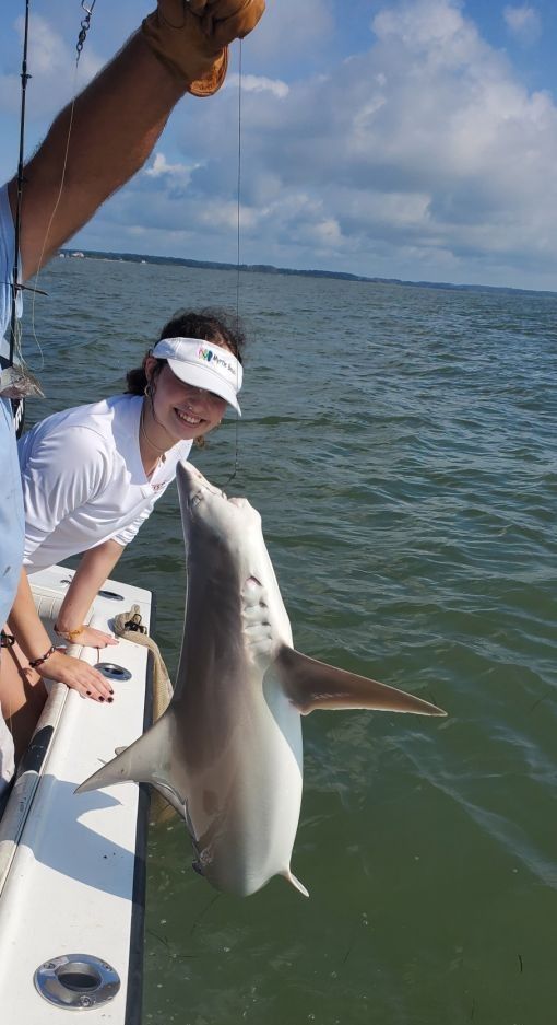 Fishing for Atlantic Sharpnose Shark