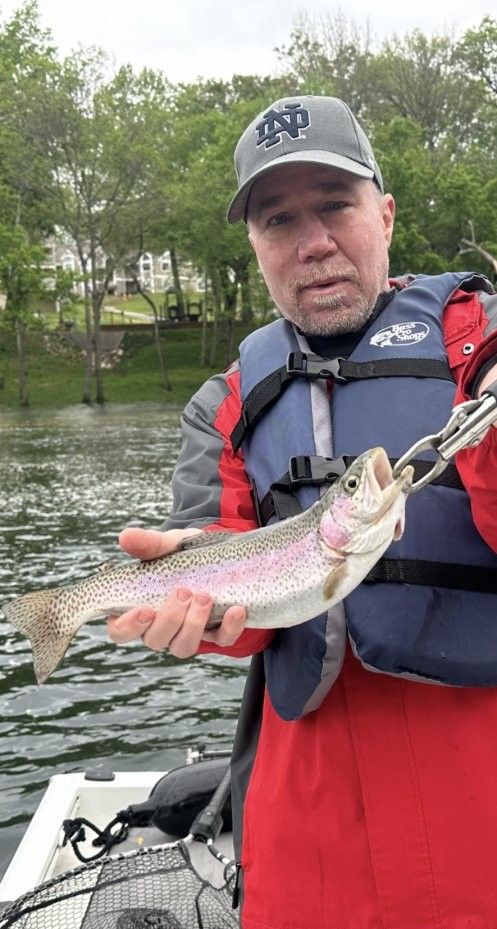 A lone rainbow trout caught while fishing