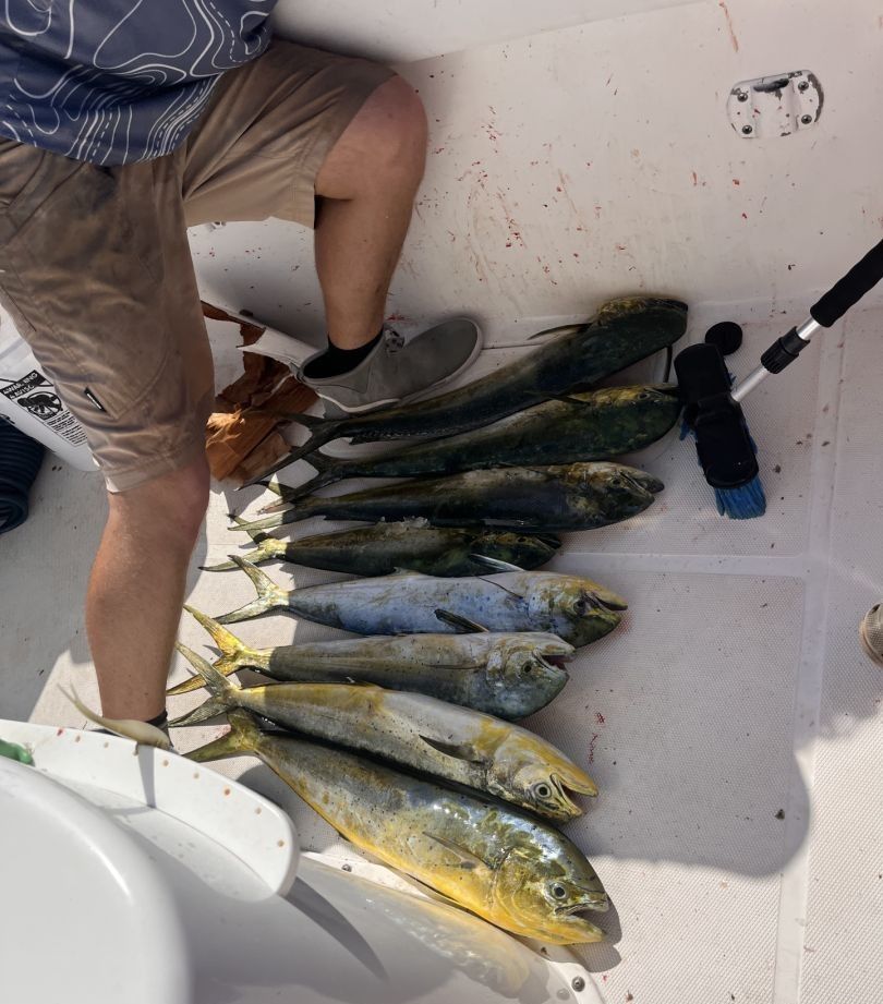 Three fishing rods and tackle in unknown location