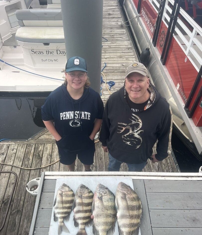 Four sheepshead fish displayed on boat deck after successful fishing trip