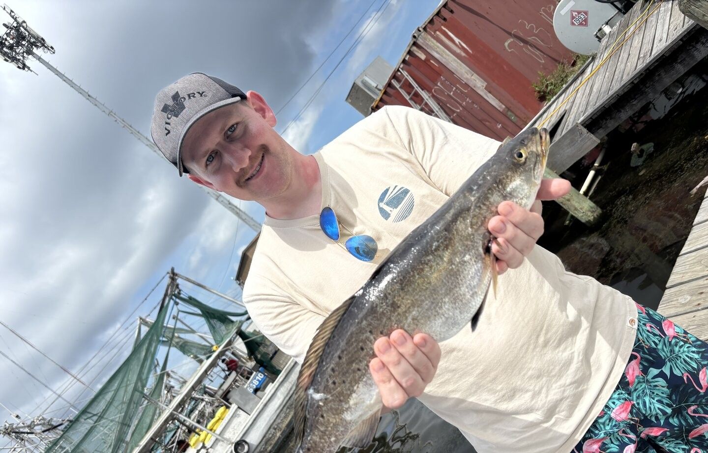 Freshly caught fish being displayed at marina dock