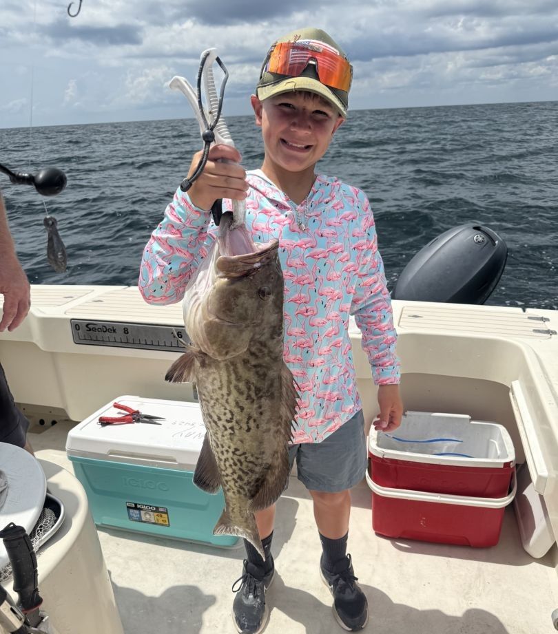 A fisherman catches a gag grouper while fishing