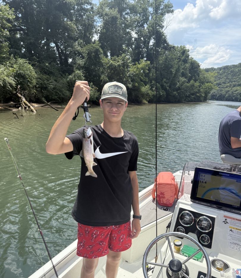 Ladyfish caught while fishing